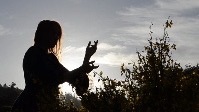 Prairie - 104_weisseHexe